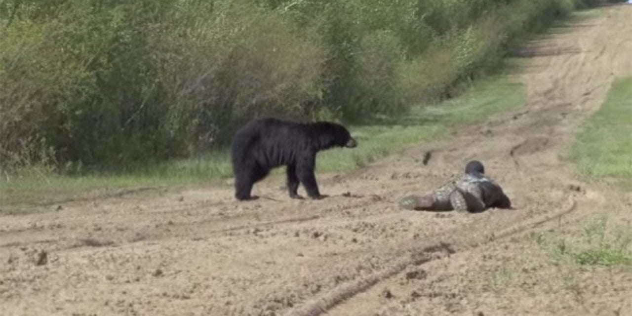 This Black Bear Hunting Video is the Ultimate Rush