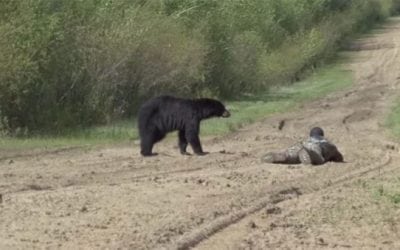 This Black Bear Hunting Video is the Ultimate Rush