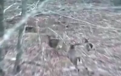 This Great Running Shot Will Create an Argument Every Time