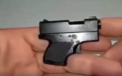 This Is About as Small as a Pistol Gets
