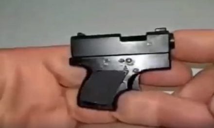 This Is About as Small as a Pistol Gets