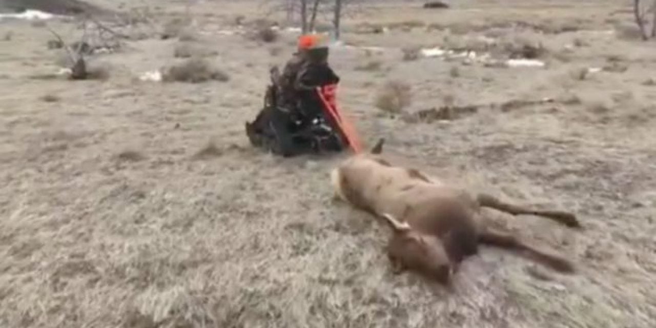 This TrackChair is One Epic Way to Drag Out an Elk