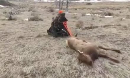 This TrackChair is One Epic Way to Drag Out an Elk