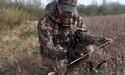 Tim Wells ‘Slocks’ an Illinois Whitetail with a Lethal Shot from His Bow