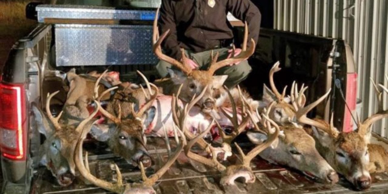 Two Nebraska Deer Camps Equal 17 Citations and $10,000 in Fines