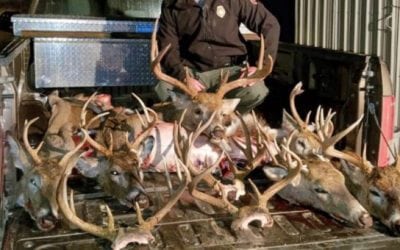 Two Nebraska Deer Camps Equal 17 Citations and $10,000 in Fines