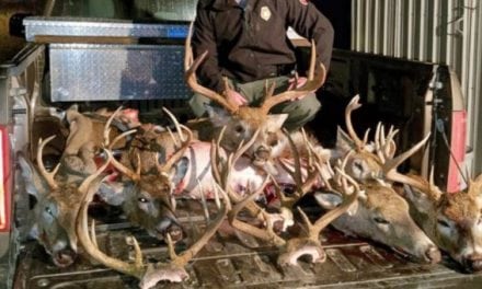 Two Nebraska Deer Camps Equal 17 Citations and $10,000 in Fines