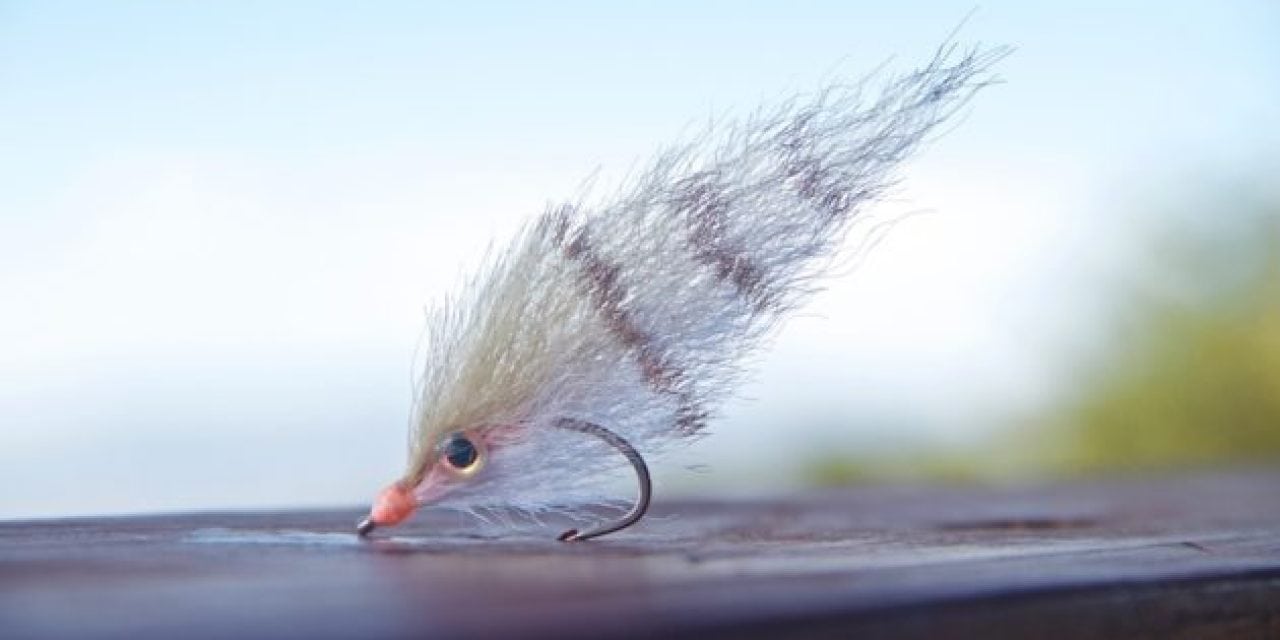 Tying the Perfect Pinfish Fly for Redfish, Snook and Seatrout