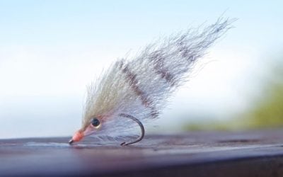 Tying the Perfect Pinfish Fly for Redfish, Snook and Seatrout