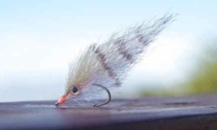 Tying the Perfect Pinfish Fly for Redfish, Snook and Seatrout