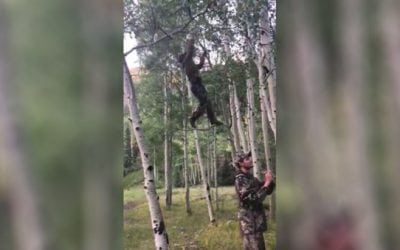 VIDEO: Ever Hear of the Hunting Camp Oingo Boingo?