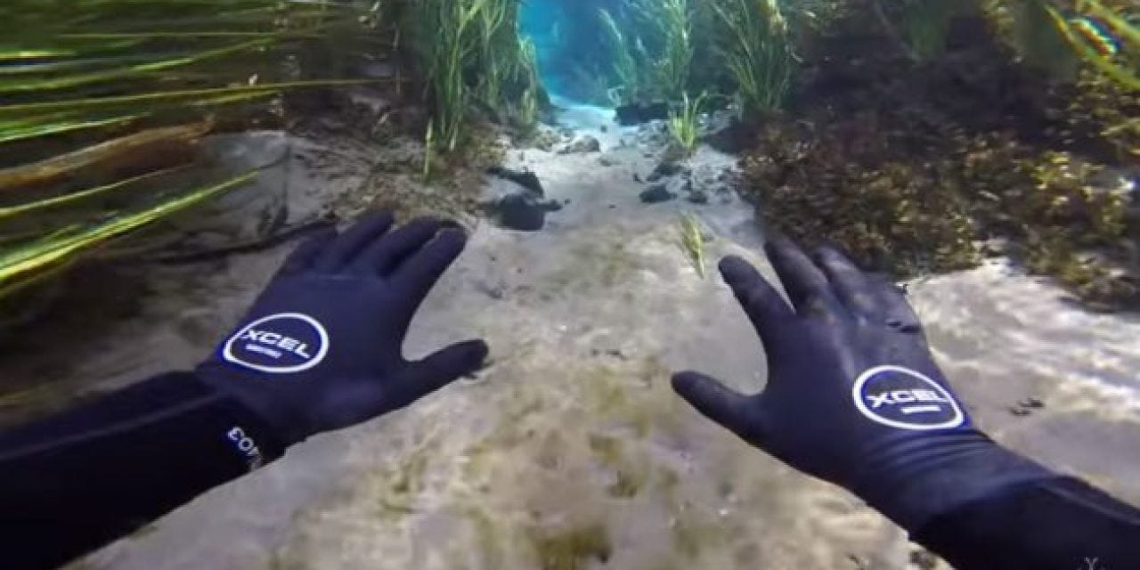 Video: Jiggin’ with Jordan Explores and Attempts to Feed the Fish in an Insanely Clear Spring