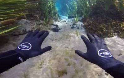 Video: Jiggin’ with Jordan Explores and Attempts to Feed the Fish in an Insanely Clear Spring