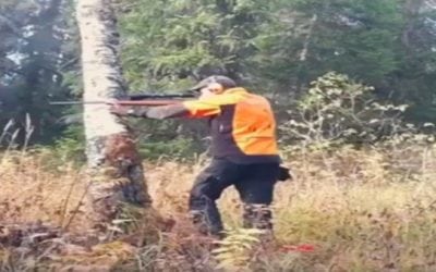 Video: Put Away the Chainsaw, This Is How You Down a Big Tree