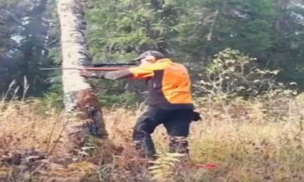 Video: Put Away the Chainsaw, This Is How You Down a Big Tree