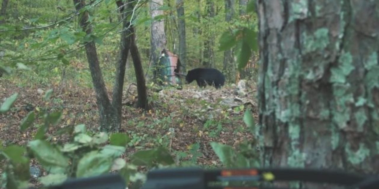 Watch This Boy Take His First Bear on a Hunt with His Dad in Arkansas