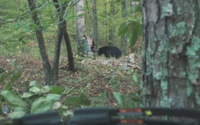 Watch This Boy Take His First Bear on a Hunt with His Dad in Arkansas