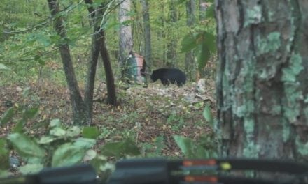 Watch This Boy Take His First Bear on a Hunt with His Dad in Arkansas
