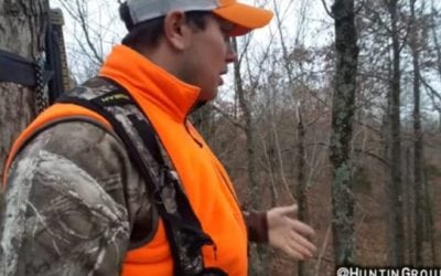 What Happens When the Deer Win