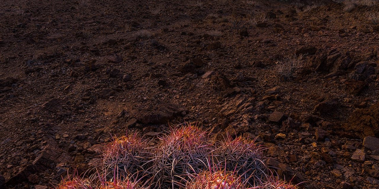 Winter In Death Valley