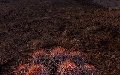 Winter In Death Valley