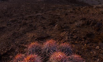 Winter In Death Valley