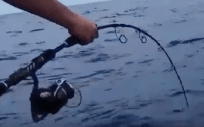 $1400 Stella Fishing Reel Pulled Overboard by Huge Fish
