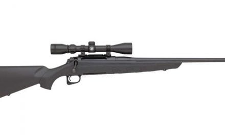 5 Great Deer Rifles for Less Than $500