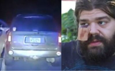 8 Crazy Attacks That Show Deer Are Far From Being Harmless