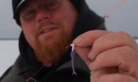 Adjust Your Soft Plastics Bait