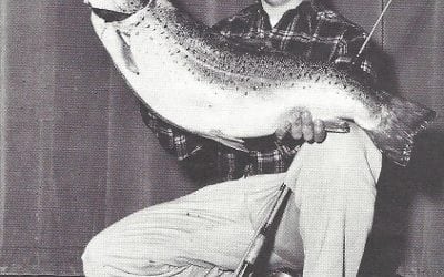 Al’s Goldfish, Coming Back To a Tackle Box Near You