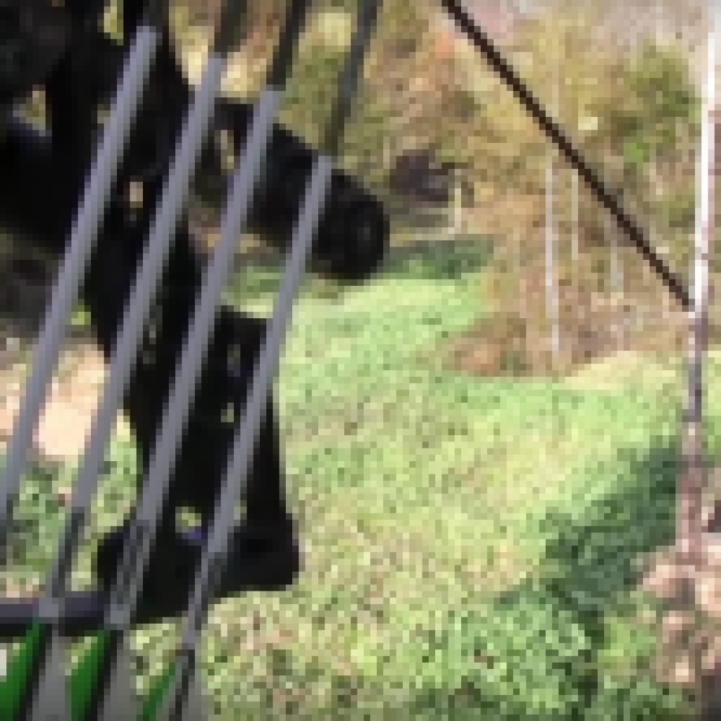 Are Food Plots the Same as Baiting? Outdoor Enthusiast Lifestyle Magazine