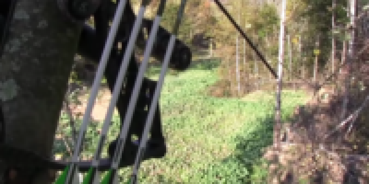 Are Food Plots the Same as Baiting?
