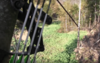 Are Food Plots the Same as Baiting?
