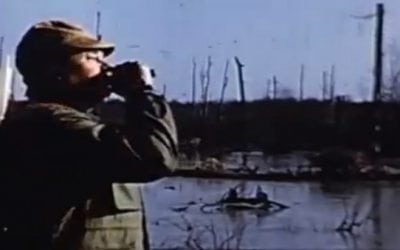 Ben Pearson Arrows Flying Ducks in This Great Vintage Video