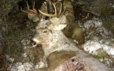 Bowhunting the Ghosts of Public Land