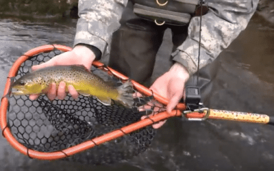 Catch Cam Nets is Now Live on Kickstarter