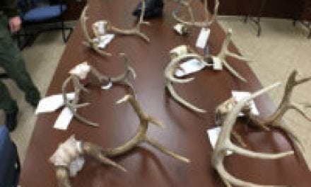 Deer Taxidermist is Scapegoat in Tennessee