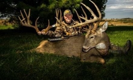Don Higgins’s Deer Mounts from His Epic 2017 Season Are Officially Done