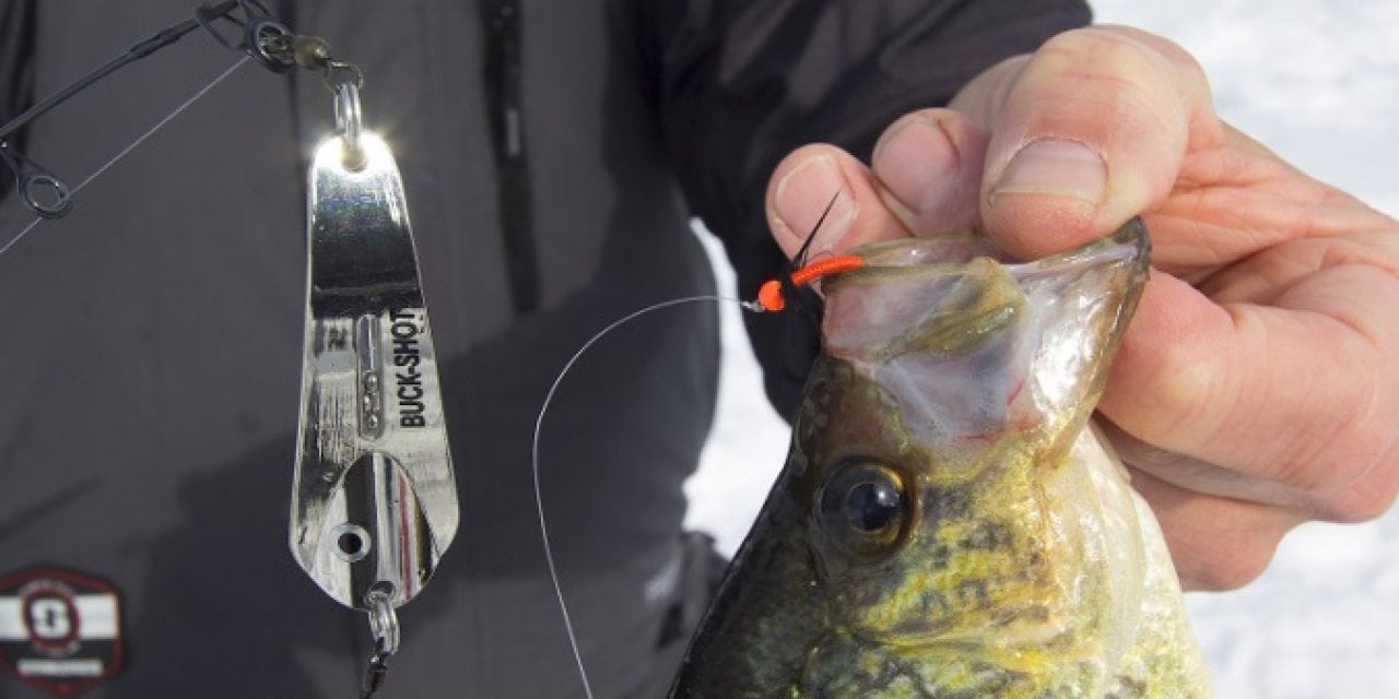 Fish Flashers And Droppers Winter Success