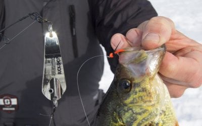Fish Flashers And Droppers Winter Success