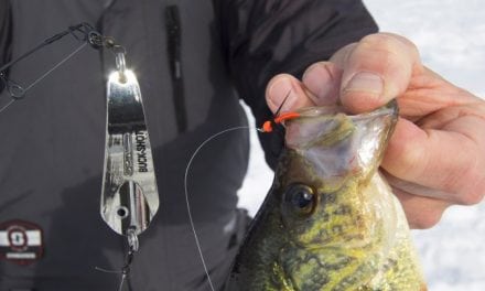Fish Flashers And Droppers Winter Success