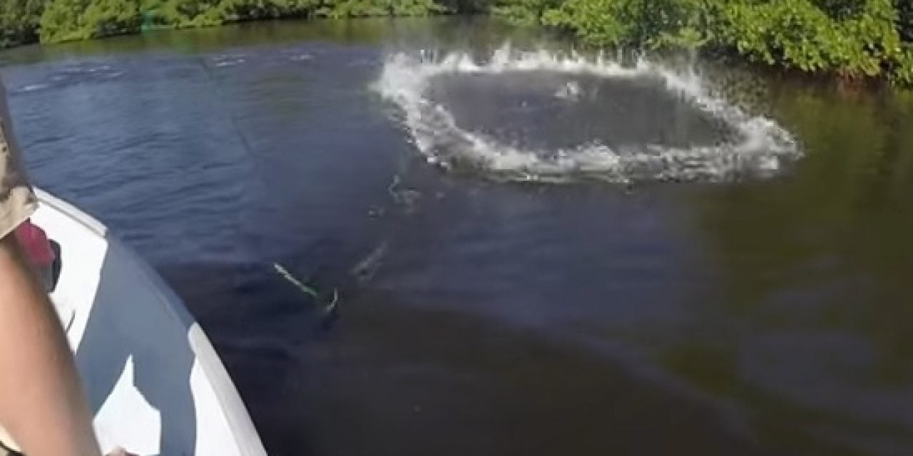 Flats Fishing in Florida (Video)