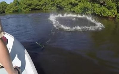Flats Fishing in Florida (Video)