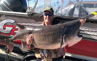 Giant Paddlefish From Grand Lake, Oklahoma