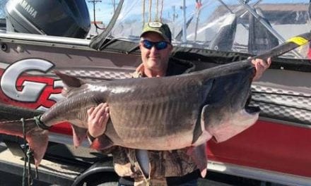 Giant Paddlefish From Grand Lake, Oklahoma