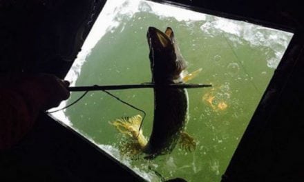 How to Get Into Winter Darkhouse Spearing for Northern Pike