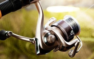 How to Prevent and Remove Line Twist, the Bane of Every Angler