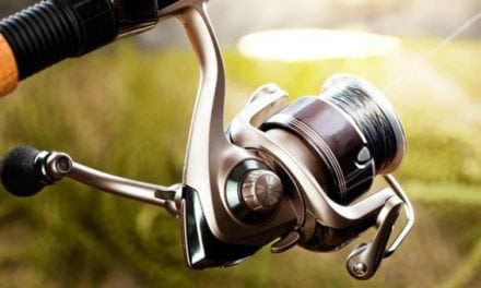 How to Prevent and Remove Line Twist, the Bane of Every Angler