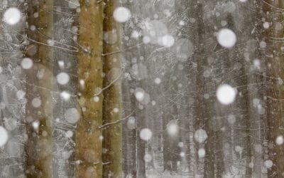 Ice And Snow Scenes Assignment Winner Henrik Spranz